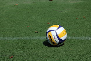 开云体育开云-女排世锦赛：中国队力压群雄，奖牌不断！，女排世锦赛名额